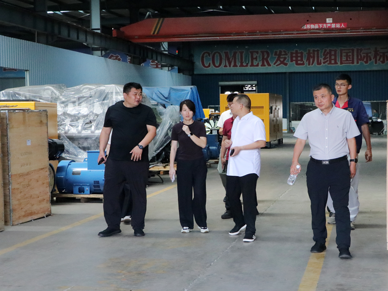 市贸促会副会长刘杨国到康姆勒调研2_副本
